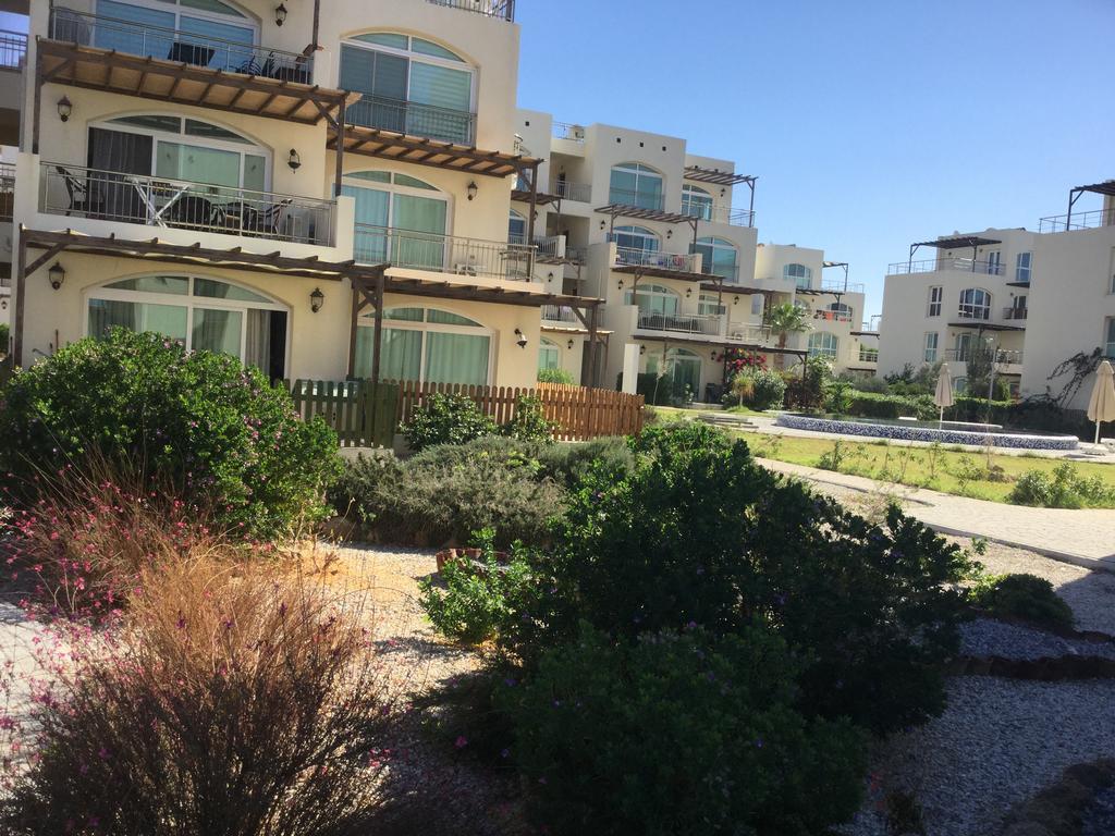 Aphrodite Beachfront Apartment Ghaziveran Exterior photo